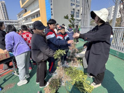 浙江台州：播撒绿色希望筑牢反邪心堤——路桥街道开展“植树节进校园”反邪教宣传活动