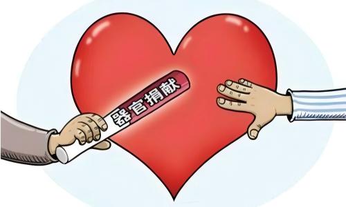 十年接力生命如歌 真相昭彰邪魅自溃