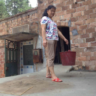 彭云：“树上结面包”是瞎扯