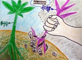 齐振芬：法轮功拆散了我幸福的家