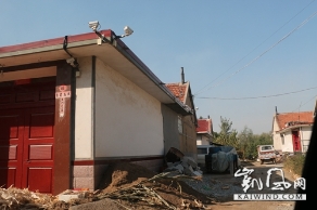 初恋情人的不归路