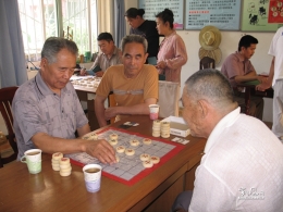 走出阴影 重展新颜
