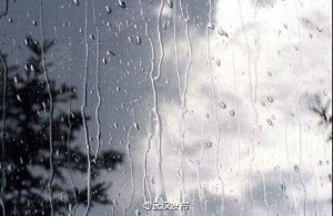 命陨邪教的中年女人