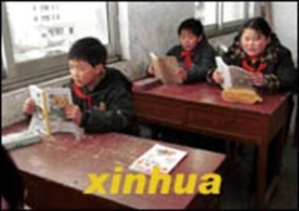 再祭自焚受害者刘思影（图）