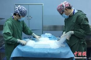 黄洁夫：2020年中国有望成为世界器官移植第一大国