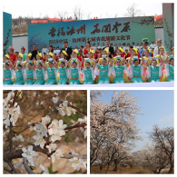 æ²³å—æ±å·žå¸‚å€ŸåŠ›æèŠ±èŠ‚å¼€å±•åé‚ªæ•™å®£ä¼ ï¼ˆå›¾ï¼‰
