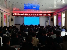 天水市麦积区对村级党支部书记开展反邪教培训