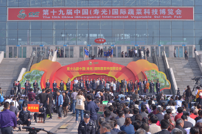 å±±ä¸œå¯¿å…‰å¸‚å€Ÿå›½é™…è”¬èœåšè§ˆä¼šå¼€å±•åé‚ªæ•™å®£ä¼ 