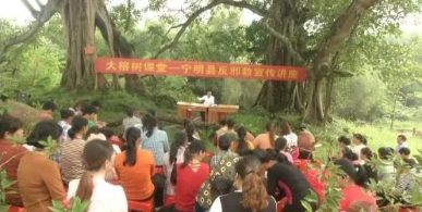 广西宁明县借“大榕树课堂”宣传反邪教