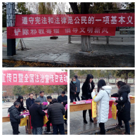 河南周口市在国家宪法日开展反邪教宣传（图）