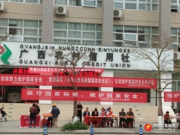 广西兴业县在国家安全日开展反邪教宣传