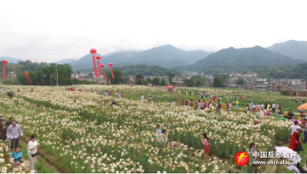 江西万载县在“百合旅游文化节”开展反邪教宣传