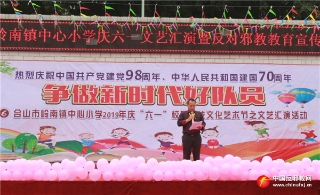 广西合山市岭南镇中心小学开展反邪教宣传