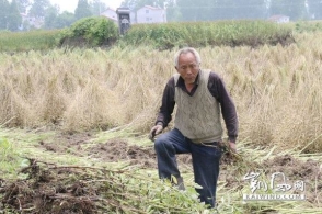 回想当初我真悔恨（图）
