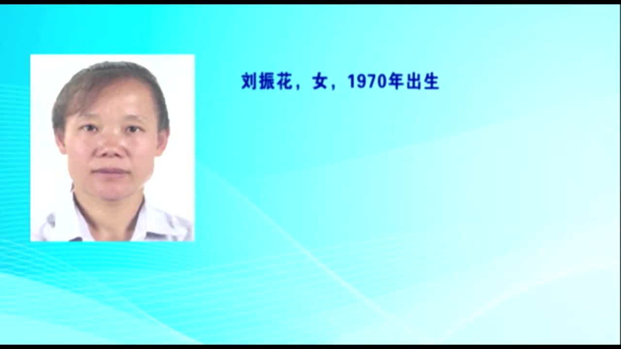 媳妇，你去哪里了？（视频）