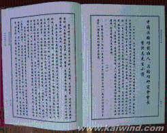 我替李洪志出“高招”应对孙森伦（图）