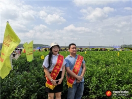 广西横县借世界茉莉花大会宣传反邪教