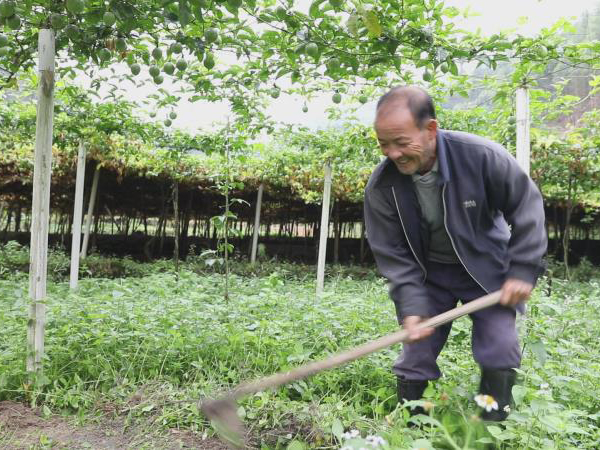 他脱离“法轮功”成为致富带头人 