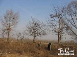 清明节了，“李大师”你想对死去的弟子说什么