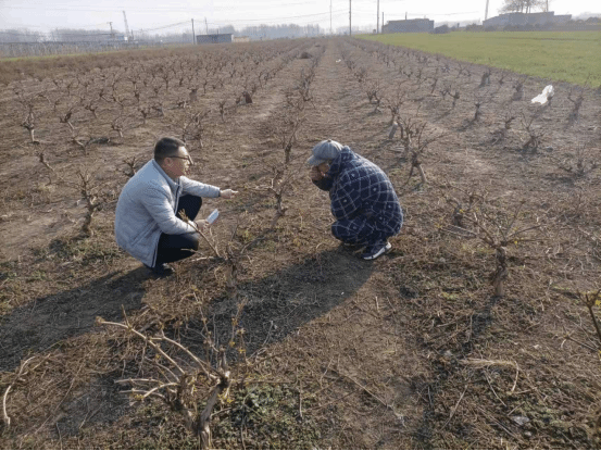 今后的生活一定会更加红红火火