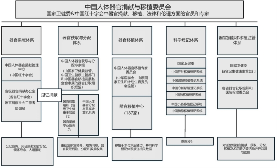中国器官捐献与移植法律框架（上）