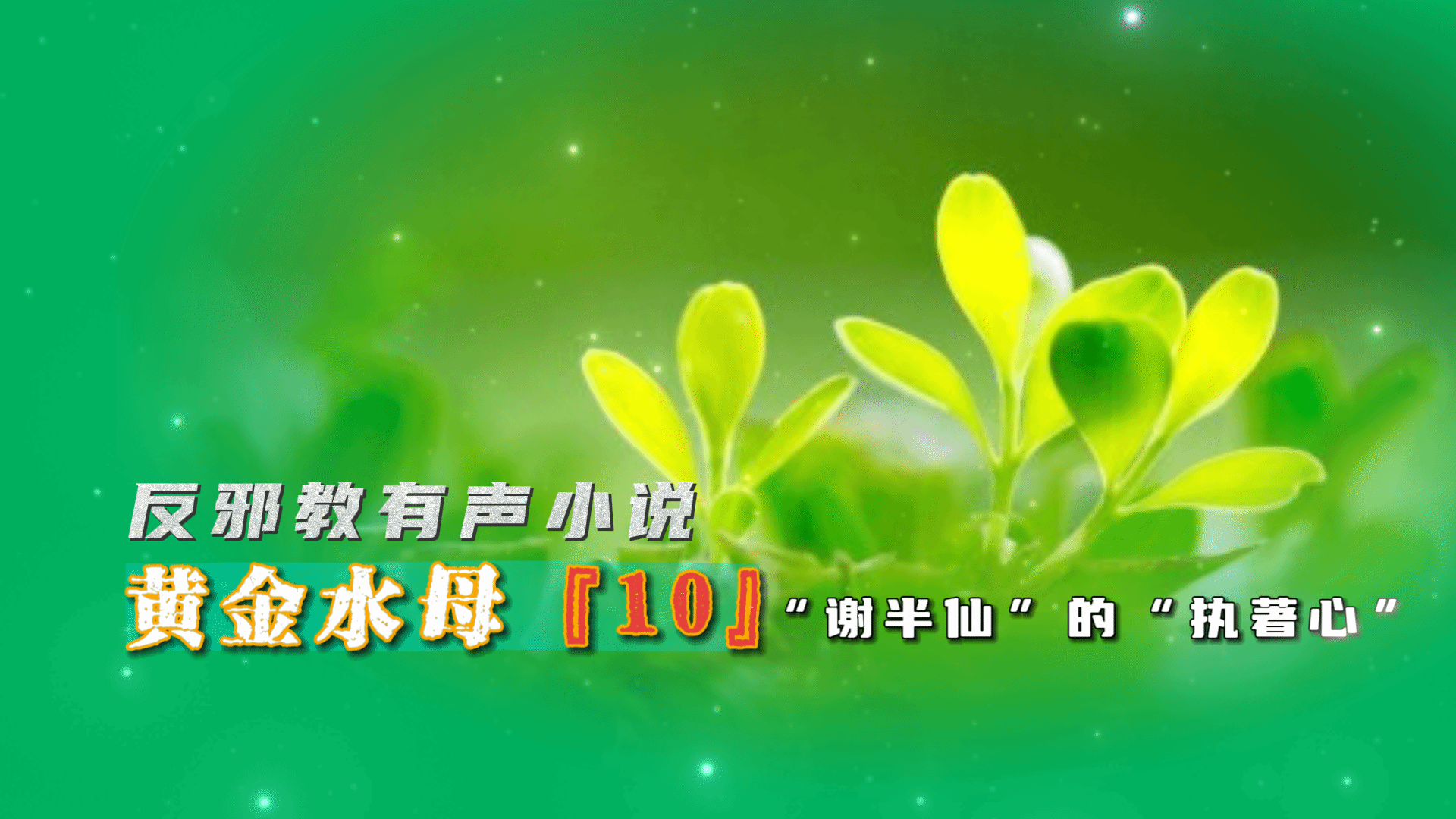 反邪教有声小说：黄金水母10