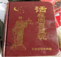 全能神害我岳母险些丧命（图）